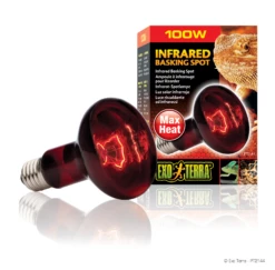 Exo Terra Heat Glo Infrared Spot Lamp 100w