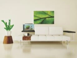 Fluval Spec 5 Desktop Aquarium 19L Black -EXO TERRA Sales Shop 10516 fl spec5 19l 5gal lvgrm bty int