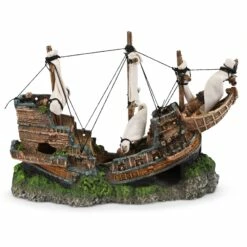 Shipwreck With Sail - Medium