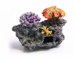 3 Corals On Live Rock Large