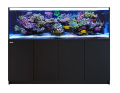 Red Sea REEFER G2+ 900 BLACK