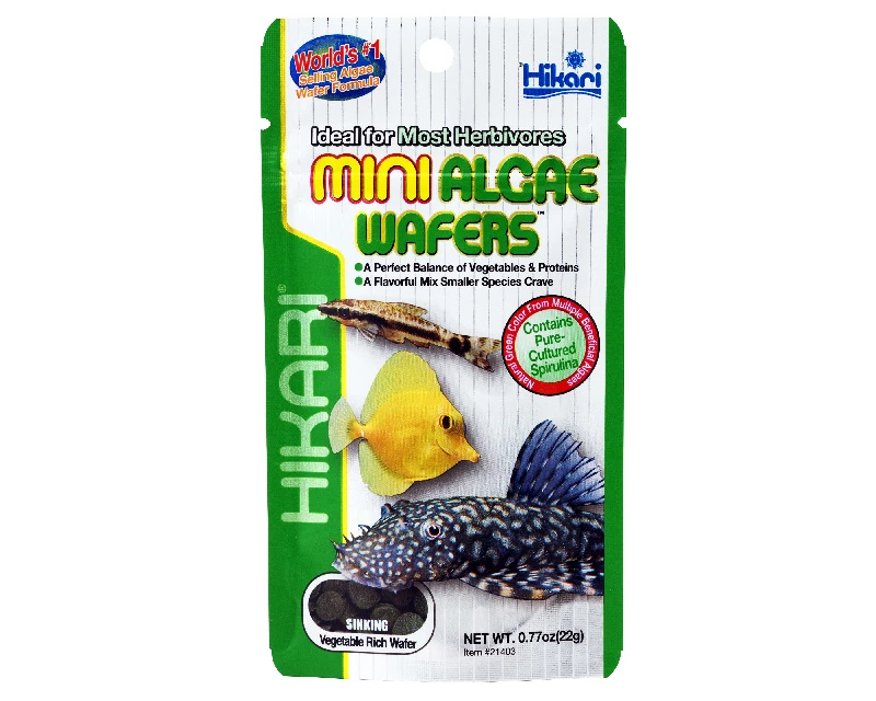 Hikari Mini Algae Wafer 22g 1 Hikari Mini Algae Wafer 22g