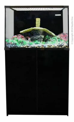 Reptile One Turtle Eco 60 Tank – Michelangelo -EXO TERRA Sales Shop 46132on47171bk