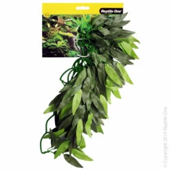 Reptile One Green Tradescantia Cascading Plant 40cm