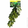 Reptile One Green Varigated Ivy Cascading Plant 40cm