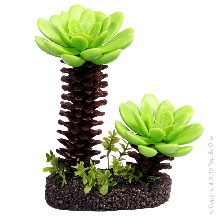 Reptile One Succulent Tree With Sand Base Medium 1 Reptile One Succulent Tree With Sand Base Medium