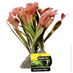 Reptile One Venus Flytrap With Pumice Base