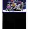 Aqua One Mini Reef 120 BLACK