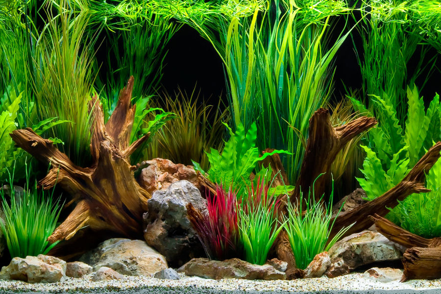 EXO TERRA Sales Shop -EXO TERRA Sales Shop Wonderscape