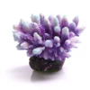 Acropora Purple/Aqua