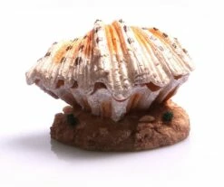 Air Operated Clam On Sand