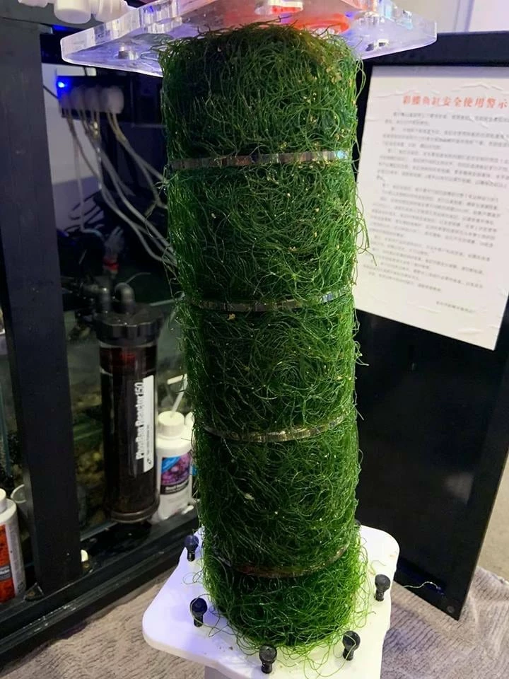 Pacific Sun Algae Reactor AR-PRO Small 6 Pacific Sun Algae Reactor AR-PRO Small - Image 6