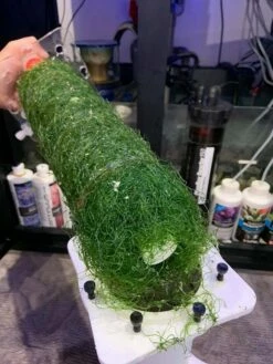 Pacific Sun Algae Reactor AR-PRO Small 15 Pacific Sun Algae Reactor AR-PRO Small -EXO TERRA Sales Shop algaereactorpacificsun3