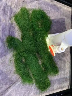 Pacific Sun Algae Reactor AR-PRO Small 16 Pacific Sun Algae Reactor AR-PRO Small -EXO TERRA Sales Shop algaereactorpacificsun5