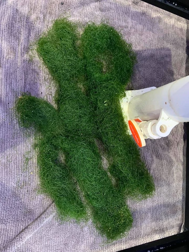 Pacific Sun Algae Reactor AR-PRO Small 8 Pacific Sun Algae Reactor AR-PRO Small - Image 8