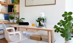 AquaEL Shrimp Set Day & Night 30 Black -EXO TERRA Sales Shop aquaelshrimpset30whiteondesk