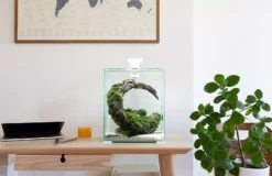 AquaEL Shrimp Set Day & Night 30 Black -EXO TERRA Sales Shop aquaelshrimpset30whiteondesk 1