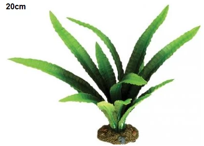 Aqua One African Onion Plant 13cm 2 Aqua One African Onion Plant 13cm - Image 2