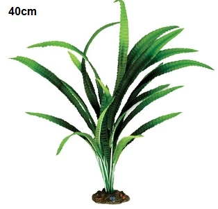 Aqua One African Onion Plant 13cm 3 Aqua One African Onion Plant 13cm - Image 3