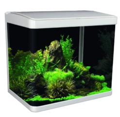 Aqua One Lifestyle 29 Aquarium Black -EXO TERRA Sales Shop aquaonelifestyleaquarium29white