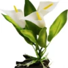 Aqua One Log Base Calla Lily (Small)