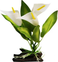 Aqua One Log Base Calla Lily (Small)