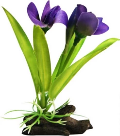 Aqua One Log Base Violet (Small)