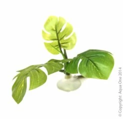 Betta Hammock Green Plant