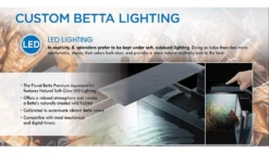 Fluval Betta Premium Aquarium Kit 10L -EXO TERRA Sales Shop bettalightingled