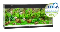 Juwel Rio 240 LED Aquarium - White -EXO TERRA Sales Shop blackjuwel240aquarium