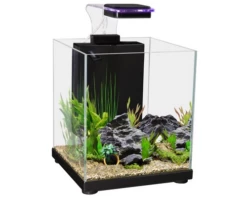 Aqua One Betta Sanctuary (10L) BLACK
