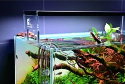 Chihiros Acrylic Stand For WRGB2 -EXO TERRA Sales Shop chihiros acrylic stand for wrgb ii led lights