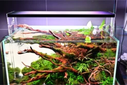 Chihiros Acrylic Stand For WRGB2 -EXO TERRA Sales Shop chihiros acrylic stand for wrgb ii led lights2