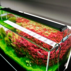 Chihiros B Series 90cm LED Non-Bluetooth Light -EXO TERRA Sales Shop chihiros b series led lighting system chihiros aquatic studio 10