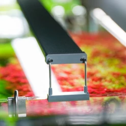 Chihiros B Series 90cm LED Non-Bluetooth Light -EXO TERRA Sales Shop chihiros b series led lighting system chihiros aquatic studio