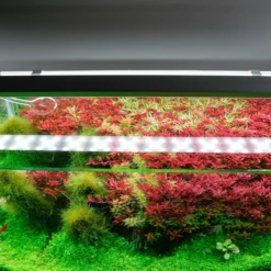 Chihiros B Series 90cm LED Non-Bluetooth Light -EXO TERRA Sales Shop chihiros b series led lighting system chihiros aquatic studio 3