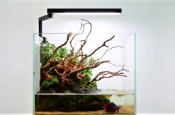 Chihiros C2 Freshwater LED (16W, 1500lm) 11 Chihiros C2 Freshwater LED (16W, 1500lm) -EXO TERRA Sales Shop chihirosontank