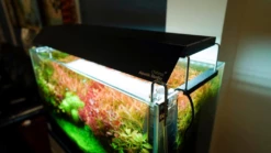 Chihiros Shade For WRGB2 30 And Slim 30 - 30cm 6 Chihiros Shade For WRGB2 30 And Slim 30 - 30cm -EXO TERRA Sales Shop chihirosshadeforwrgb2