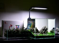 Chihiros C2 Freshwater LED (16W, 1500lm) 13 Chihiros C2 Freshwater LED (16W, 1500lm) -EXO TERRA Sales Shop ciilight