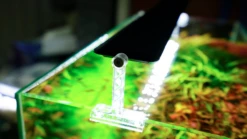 Chihiros A II Series 30cm LED Light -EXO TERRA Sales Shop clearacrylicbracketchihiros