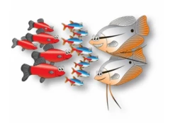 Fish Fuel Co Community Food 110g -EXO TERRA Sales Shop communityfishfuelco