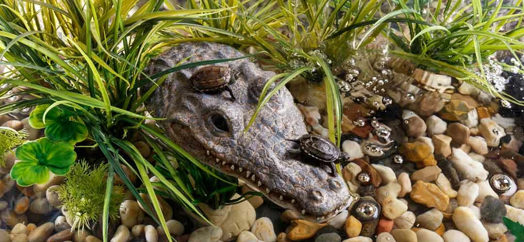 Exo Terra Turtle Island - Croc 3 Exo Terra Turtle Island - Croc - Image 3