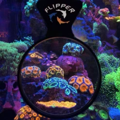 Flipper DeepSee Magnified Magnetic Aquarium Viewer 4" (10cm) 8 Flipper DeepSee Magnified Magnetic Aquarium Viewer 4" (10cm) -EXO TERRA Sales Shop deepseeflippermag