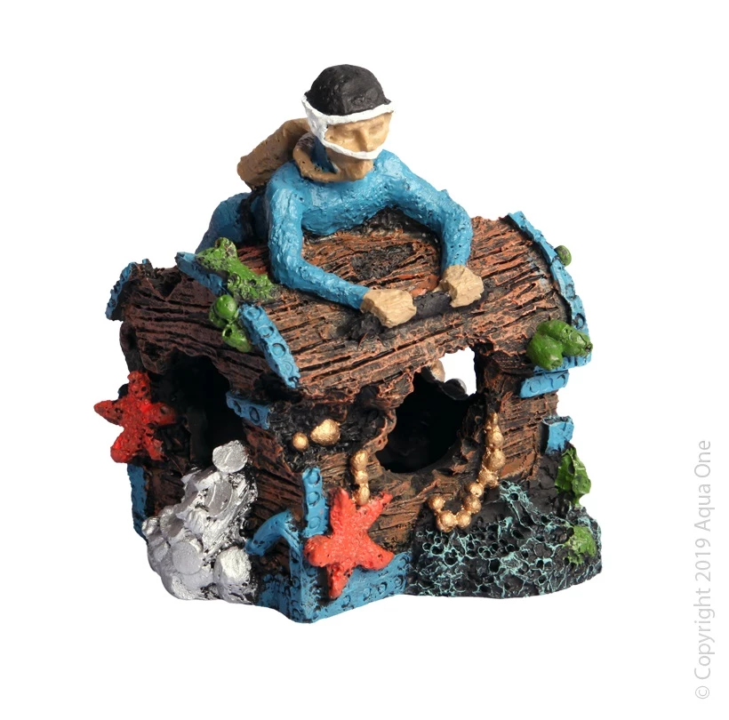 Diver On Treasure Chest 1 Diver On Treasure Chest