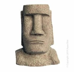 Easter Island Head