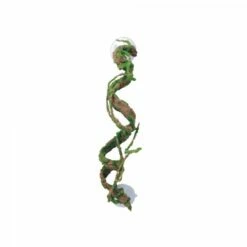 Eco Tech Corkscrew Vine 40cm