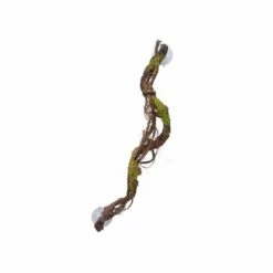 Eco Tech Multiple Vines With Moss Lichen 60cm