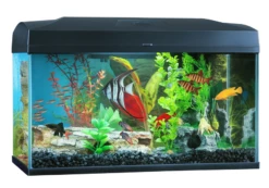 Blue Planet Classic Aquariums 50