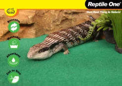 Reptile One Reptile Enclosure Carpet Reusable 45x60cm -EXO TERRA Sales Shop enclosurecarpet