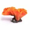 Euphyllia Orange